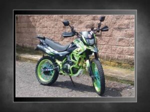 roban-motocicleta-fortin-focus-0-0-732-549