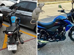 roban-dos-motos-en-nogales-focus-min0.59-min0.13-732-549