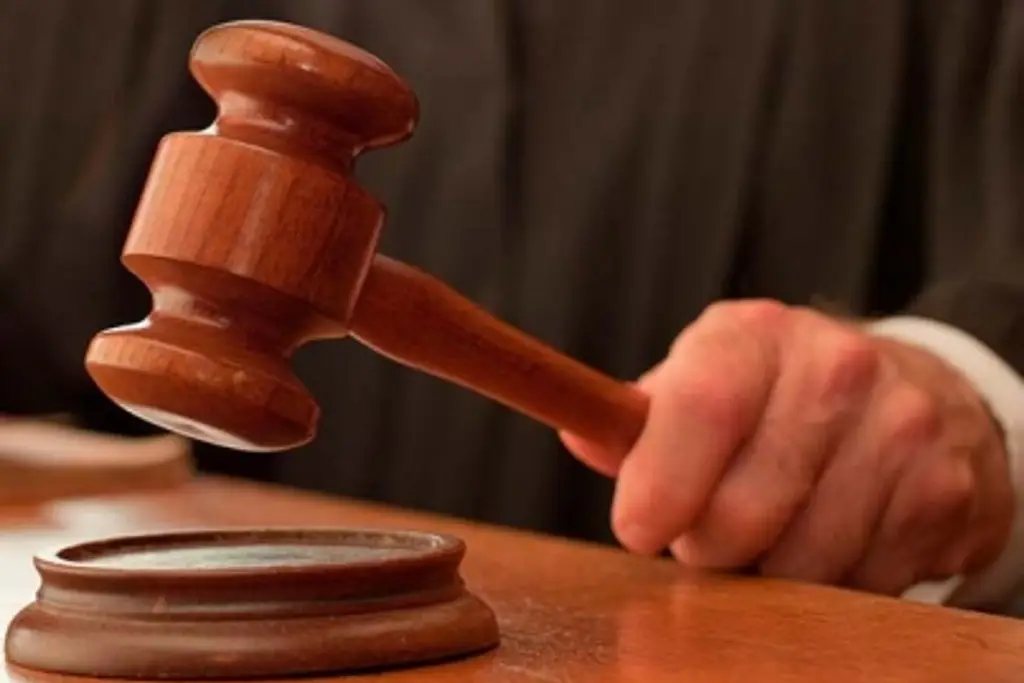 1361921xeu20250220162409