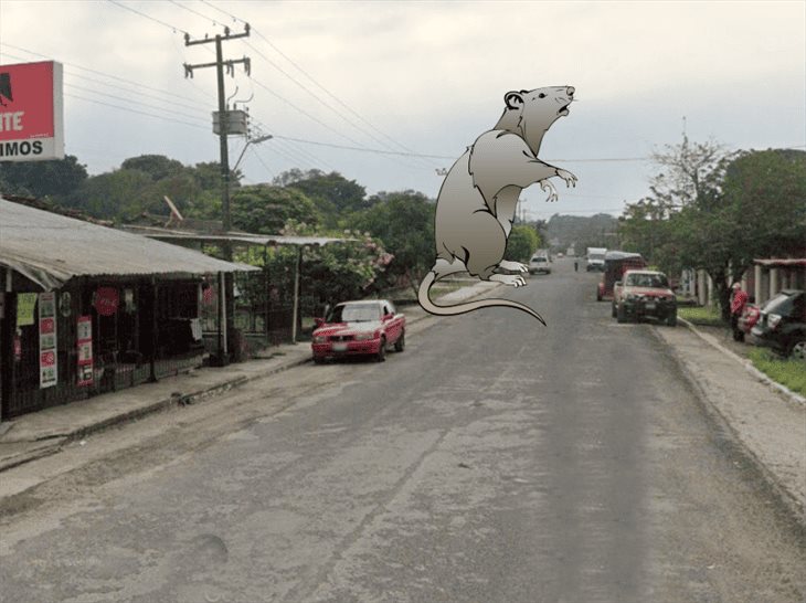 banda-de-ladrones-en-misantla-focus-0-0-732-549