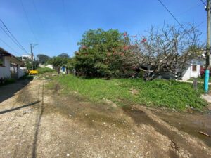 podi0226calle03-3a0e5ffe-focus-0-0-732-549