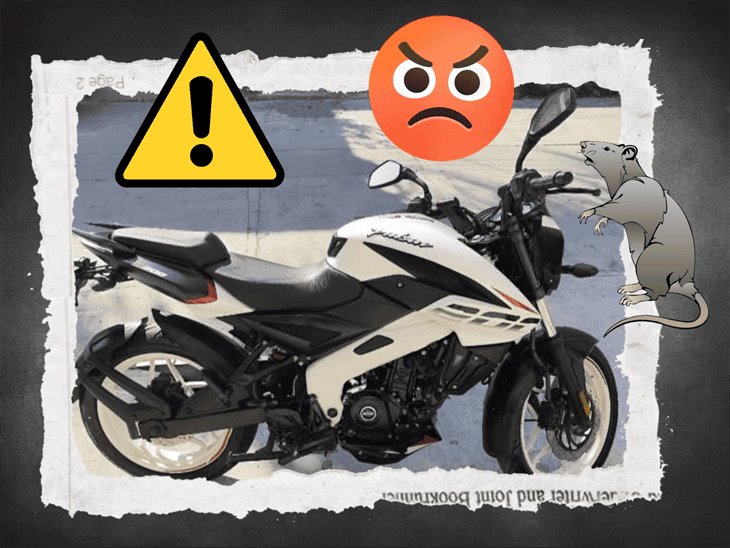 roban-motocicleta-focus-0-0-732-549