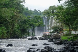 Un viaje inolvidable a Los Tuxtlas: biodiversidad, cultura y sabores auténticos