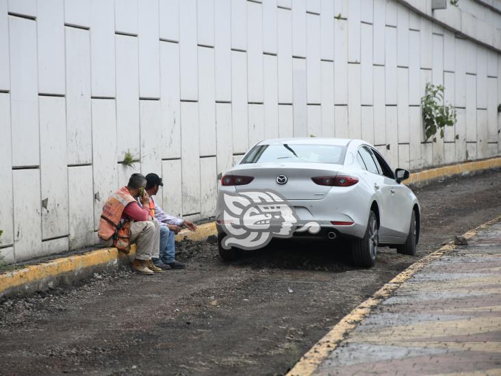 mazda-c0679064-focus-0.13-0.17-732-549