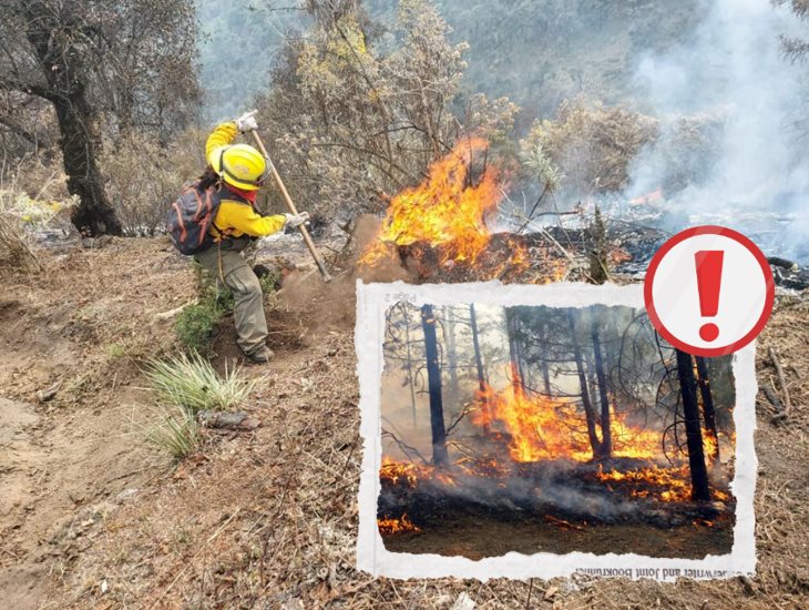 incendios-forestales-en-veracruz-3-c3a5f16d-focus-0.34-min0.28-732-549